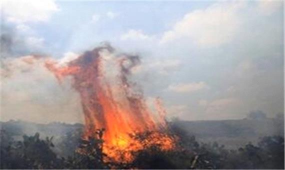 آتش‌سوزی بزرگ در جنوب سرزمین‌های اشغالی +فیلم