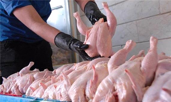مشخص شدن نتیجه اقدامات برای کاهش قیمت مرغ تا 2 هفته آینده