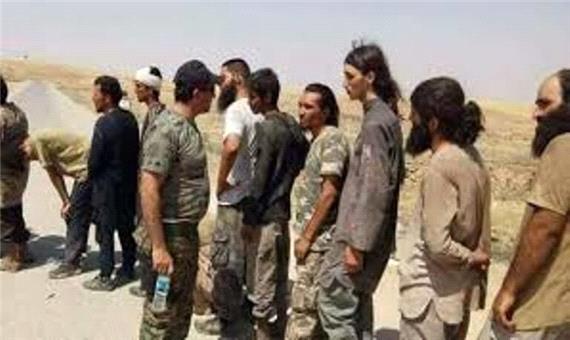 هشت داعشی در بغداد دستگیر شدند