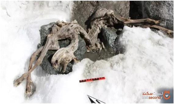 مومیایی 400 ساله به دست یک اسکی باز کشف شد!