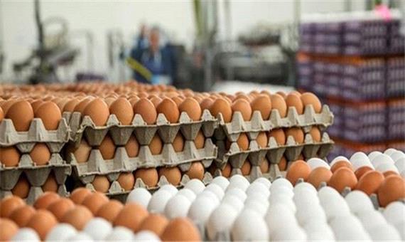 تصمیم مهم برای کنترل قیمت تخم مرغ