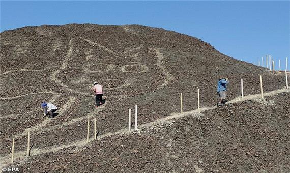 شناسایی تپه نگاره ای 2200 ساله از یک گربه در پرو