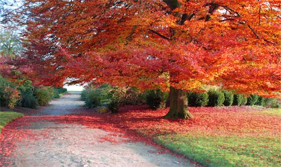 پاییز خیره کننده و رنگین در دنیا!