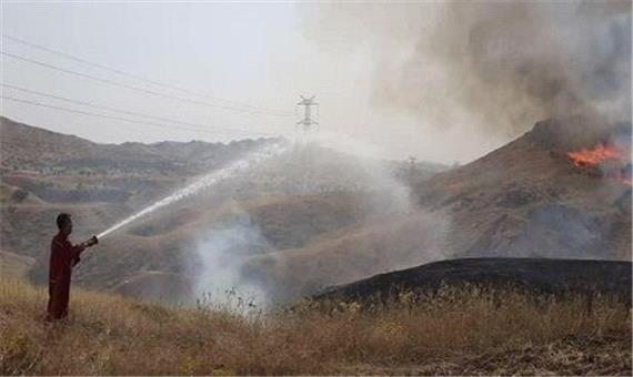 سازمان منطقه ویژه پارس آتش‌سوزی بیدخون را مهار کرد