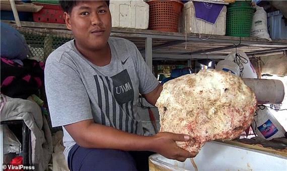 اتفاقی که ماهیگیر تایلندی را یک شبه میلیونر کرد!