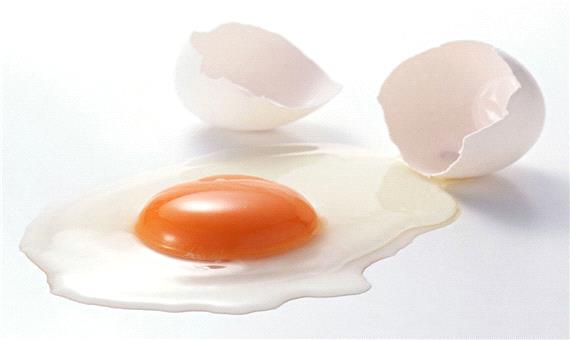 منجمد شدن تخم مرغ در دمای 35 درجه زیر صفر