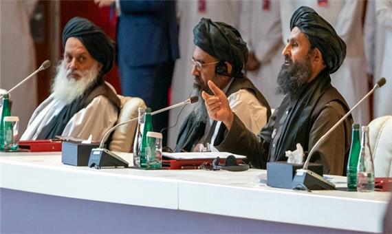 طالبان: هیچ عضو القاعده در افغانستان حضور ندارد