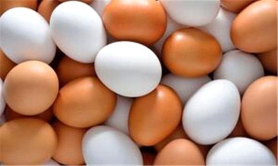نرخ هر کیلو تخم مرغ، 14 هزار تومان