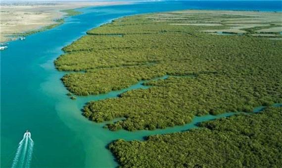 محیط زیست: در آینده نزدیک خلیج‌فارس شورترین پهنه‌ آبی بزرگ دنیا می‌شود / جلوگیری از ورود آب‌ شیرین به دریا از عوامل اصلی ایجاد این فاجعه است