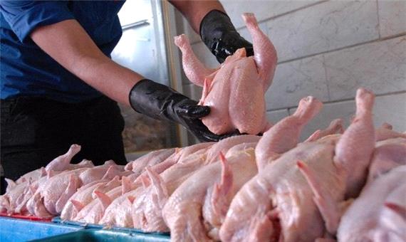 قیمت واقعی مرغ؛ اختلاف قیمت 14 هزارتومانی از تولید تا مصرف