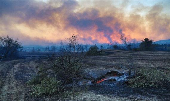 آتش‌سوزی جنگلی در جنوب ترکیه قربانی گرفت