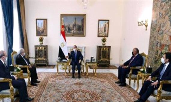 توافق مصر و الجزائر برای حمایت از رئیس جمهور تونس