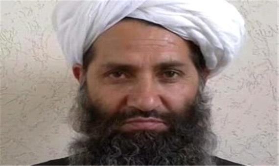 سرکرده طالبان زنده است؟
