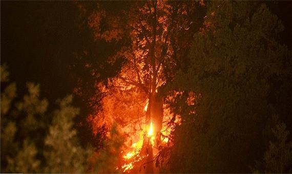 مصدومیت 5 نفر در حریق «جهان نما» / ورود دستگاه قضایی به آتش سوزی جنگل‌های کردکوی