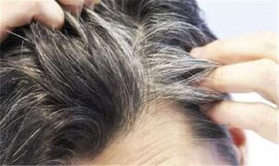 راهکاری موثر برای جلوگیری از سفیدشدن موها