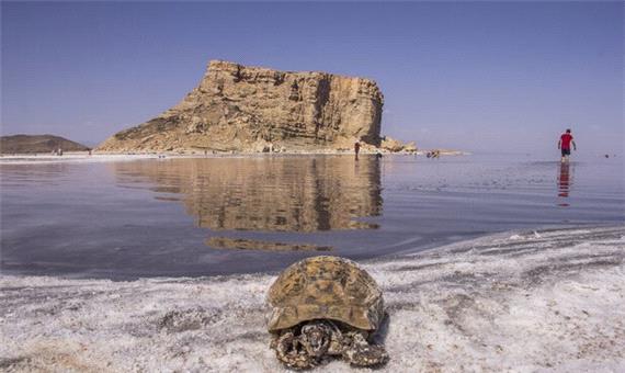 تیشه بر جان دریاچه ارومیه با از سرگیری سدسازی