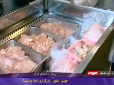 پرواز ناتمام مرغ