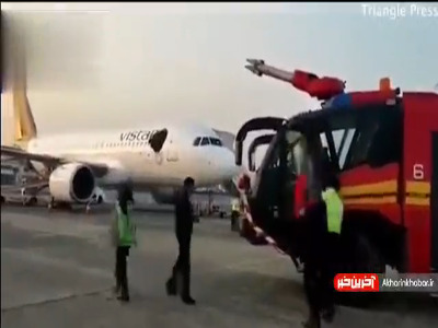 حمله زنبورها به هواپیما!