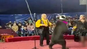 لحظه وحشتناک حمله خرس به مربی سیرک +فیلم