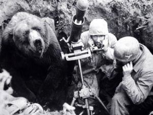 اخبار محرمانه