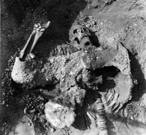 اخبار محرمانه