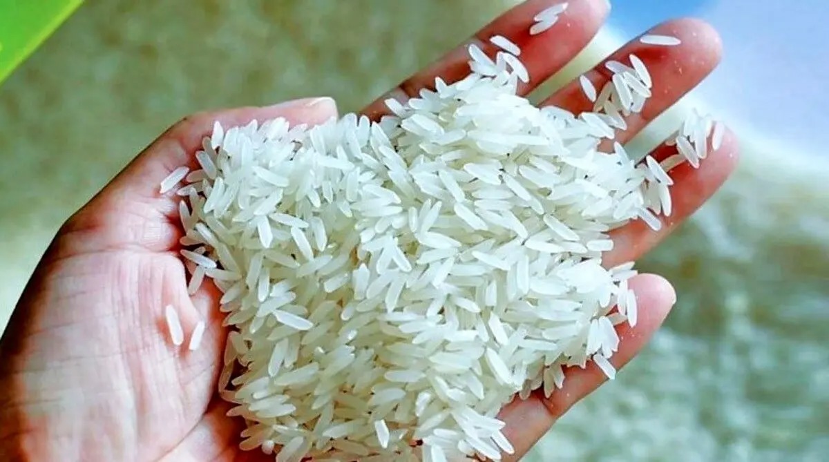 قیمت برنج پاکستانی سر به فلک کشید | کیسه ۱۰ کیلویی برنج پاکستانی ۲۴ آذر چند شد ؟