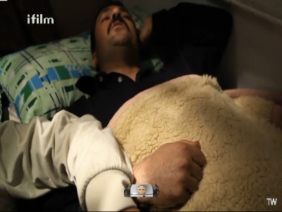 ارسطو کابوس کلیه می‌بینه!