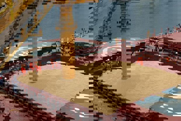 مشاور وزیر جهاد: وزارت نفت نتوانست ارز کالاهای اساسی را بپردازد؛ ٢٠ فروند کشتی منتظر تخلیه هستند