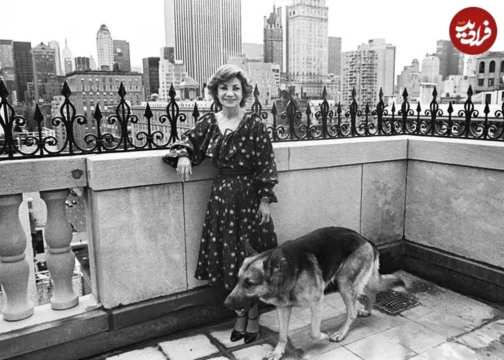 اخبار محرمانه