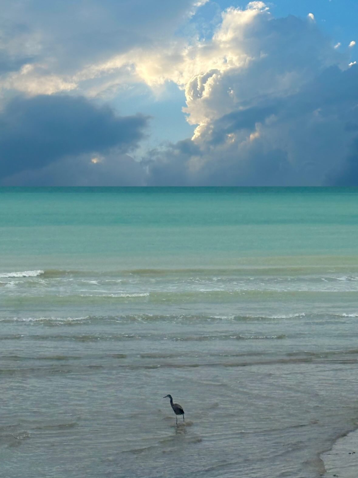 اخبار محرمانه