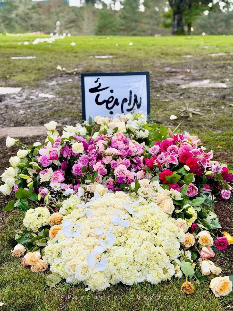 اخبار محرمانه