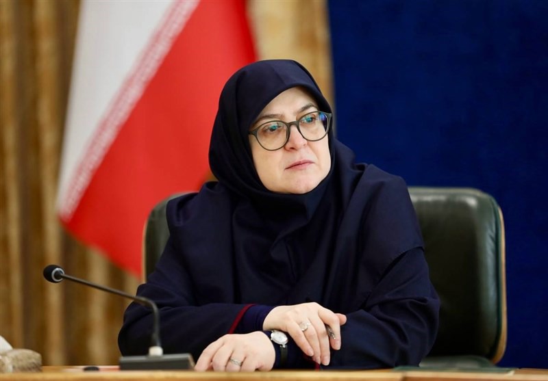 اظهارات سخنگوی دولت در مورد اینترنت