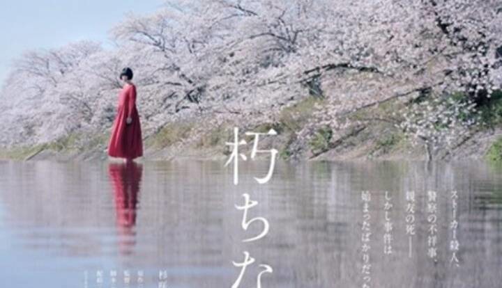 «شکوفه‌های گیلاس» در راه شبکه نمایش