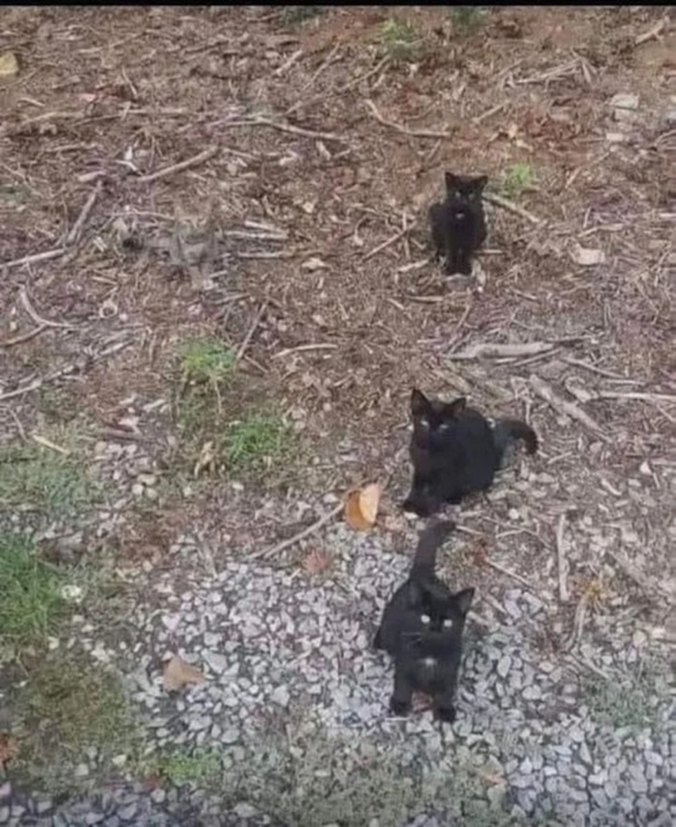 اخبار محرمانه