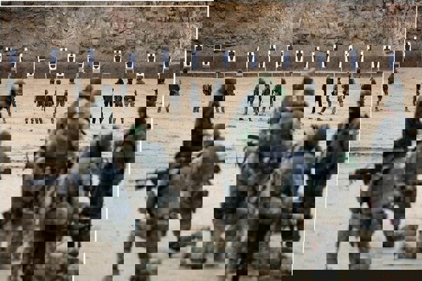 مجارستان سربازگیری در اوکراین را به «شکار انسان» تشبیه کرد