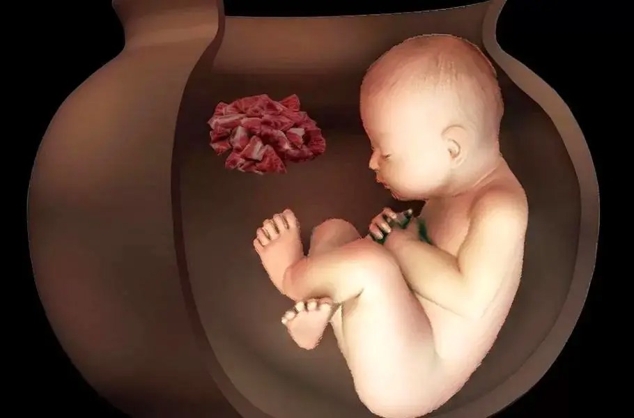 آیین عجیب تدفین ایرانیان باستان؛ ۲ جنین ۶۵۰۰ ساله در تپه چپرآباد ایران کشف شدند