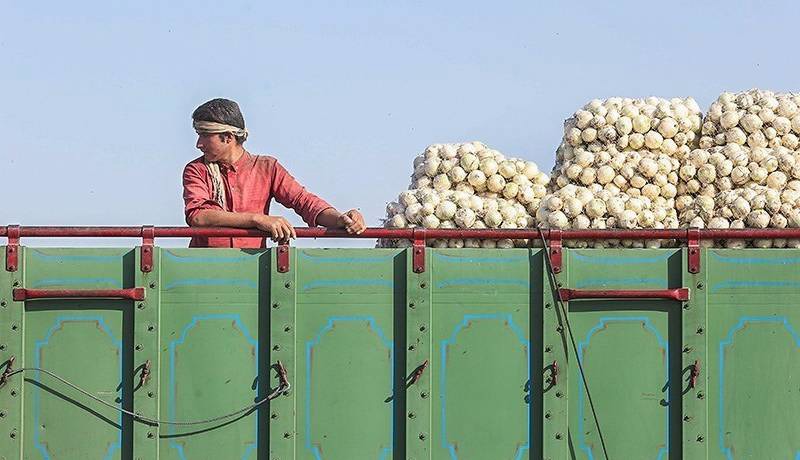 اعلام نرخ رسمی خرید تضمینی سیب‌زمینی و پیاز