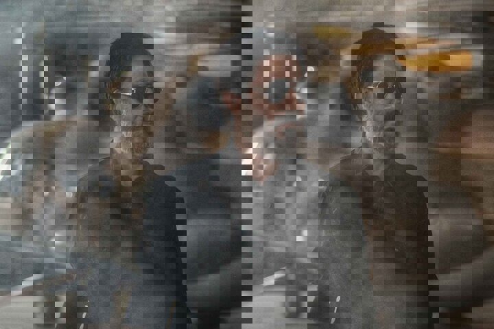 پیشنهاد تهیه‌کننده «پیشمرگ»به خانواده‌ها/«کافه سلطان» کی اکران می‌شود؟