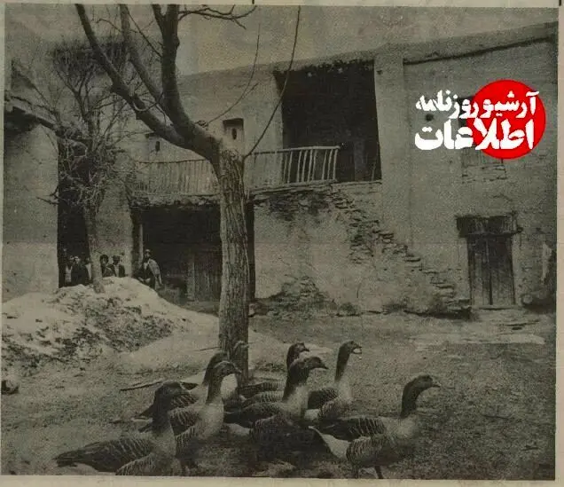 اخبار محرمانه