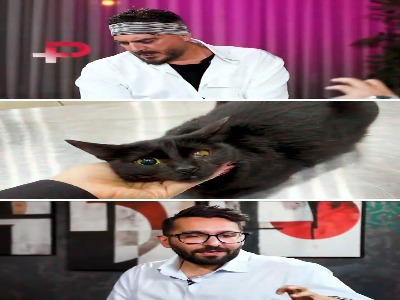 افشاگری بازیگر سینما درباره دعانویس‌ها و آزار حیوانات