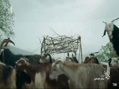نبرد با دشمن با برنویی در دست!