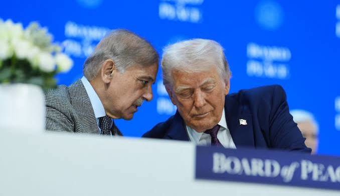 رمزگشایی از رفتار واسطه‌ها