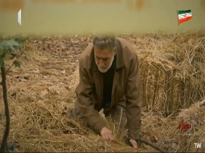 این اتفاقات واقعیه یا همش یک توهمه؟!