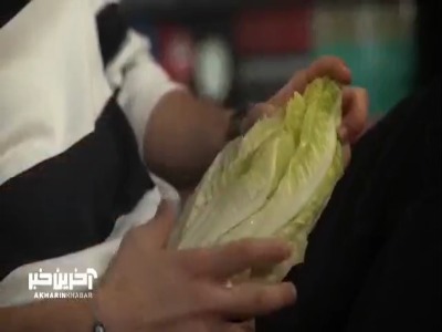 محمدرضا غفاری : من گیاه خوار ناخواسته ام   | آخرین خبر