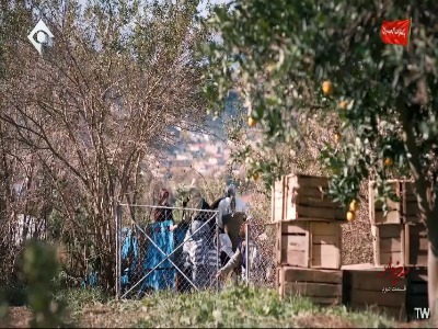 همینقدر بلدی منت‌کشی کنی؟!