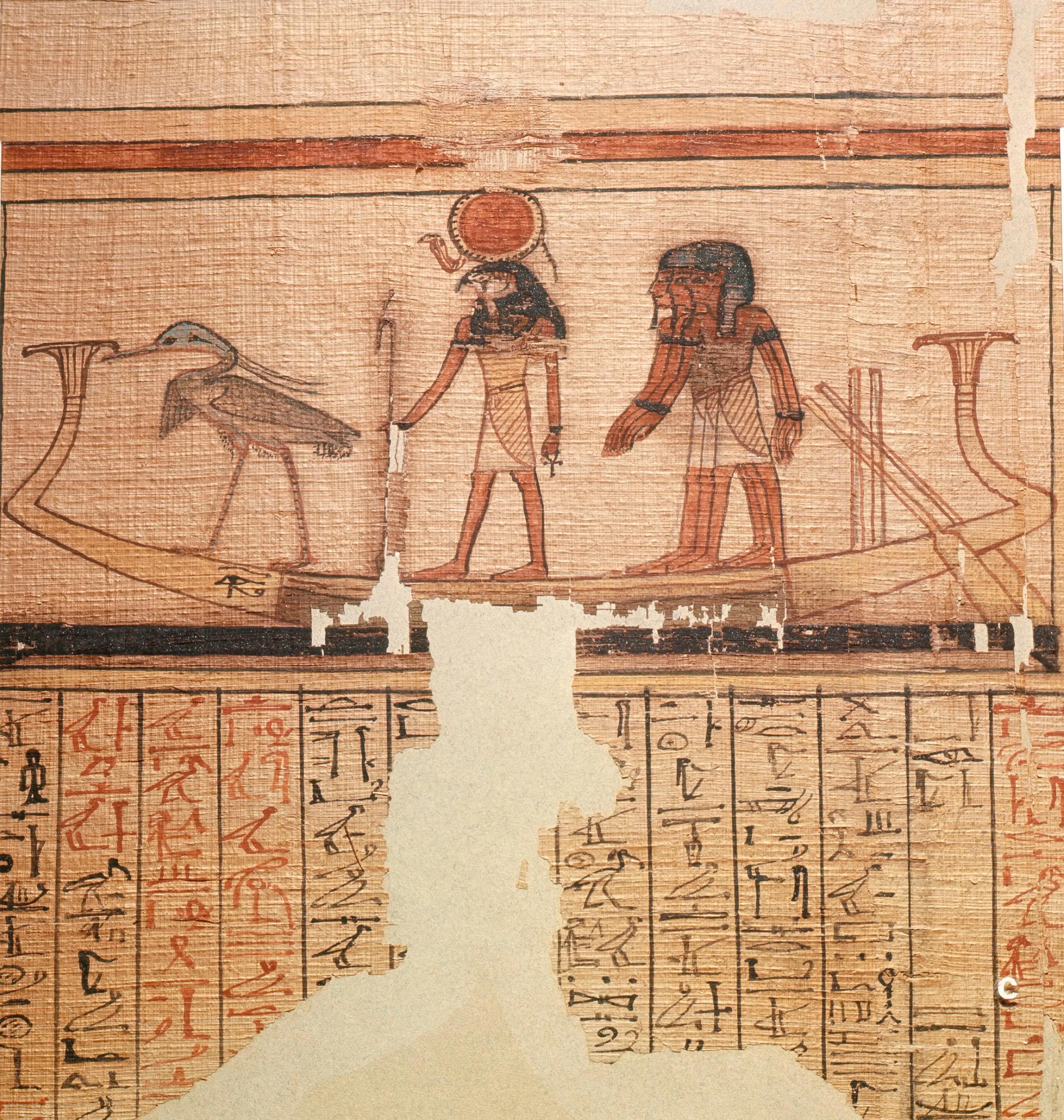 اخبار محرمانه